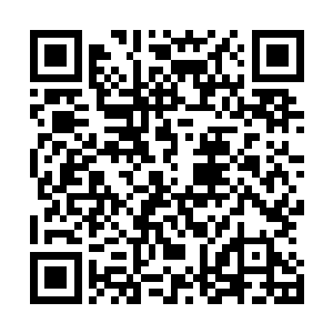 虽然两人的外景招式威力仅等同于他不用绝招时的全力一击二维码生成