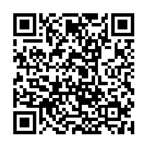 虽然之前他们和夏天还有夏家军之间也有不少的恩怨二维码生成