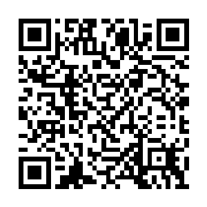 虽然之前他们对剑蝶山山主的那个命令无法理解二维码生成