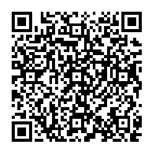 虽然之前他已经感觉出来那彪形大汉含进嘴里的珠子并不是和自己怀中那金黄色的珠子一样二维码生成