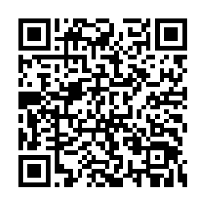 虽然之前在混乱大陆的时候他们就转化成了妖修二维码生成