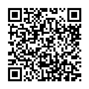 虽然之前沈通他们是那种看着好说话的和气模样二维码生成