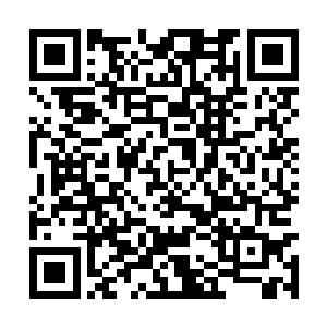 虽然之前的马文是个有点过分善良甚至是怯懦的人二维码生成