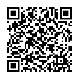 虽然也只是一个小缝好像乌龟一样把脑袋露出来二维码生成