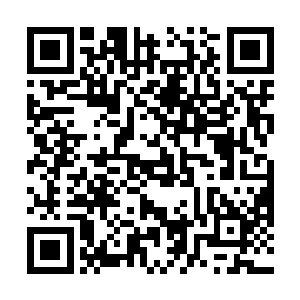 虽然也有些因这突如其来的戏剧性般的一幕忍不住想笑二维码生成