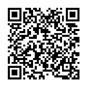 虽然也知道齐蓓蓓的身份决定了她没办法和自己比二维码生成