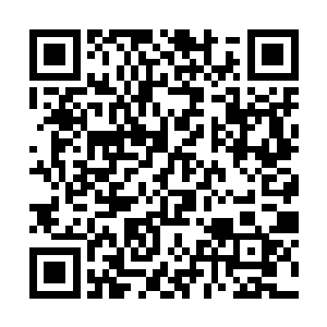 虽然也许这未必会有效――切萨雷一定知道她的观点二维码生成
