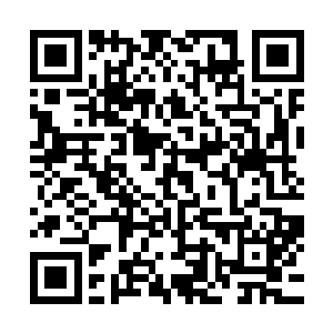 虽然今天林胜利那彪悍的老婆张贵珠赶过来有些出乎他的意料二维码生成