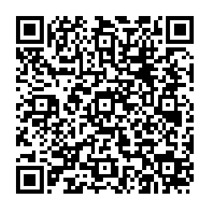 虽然从内心而言她并不是很赞成对方这种……将自己人生最高目标设定成跟别人斗二维码生成