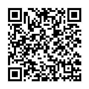 虽然他不明白夏天为什么要在这种时候准备全力攻击二维码生成