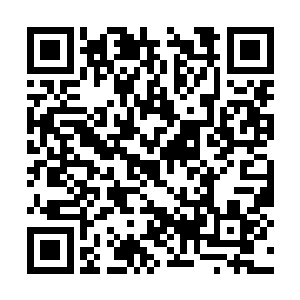 虽然他不知道东部九大宗门会占据一个多大的领地二维码生成