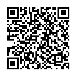 虽然他不能暴露自己修真者的身份已经神奇的十二时刻定海神珠二维码生成