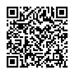 虽然他们也不明白这女子怎么就入了秦铮的心了二维码生成