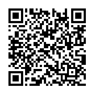 虽然他们也可以对玩家做出一定程度上的数据分析二维码生成