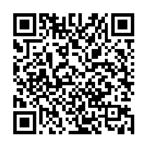 虽然他们和剑尘之间的关系还没有到达那种亲如手足的地步二维码生成