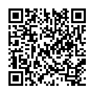 虽然他们对秦林没有高天龙和胡云鹏那么深的怨念二维码生成