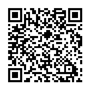 虽然他们烈焰佣兵团如今的实力已经不弱于那些隐士石家二维码生成