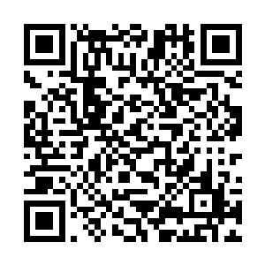 虽然他们记忆中关于苏落的身世被南宫流云强行抹去二维码生成