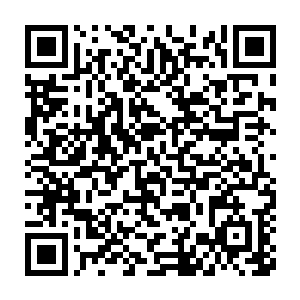 虽然他们那疑似恶劣发泄一般的举动让海妖领地的海族们都是惊炸二维码生成