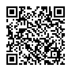 虽然他们都不知道圣女在冰神殿中究竟是什么样的身份二维码生成