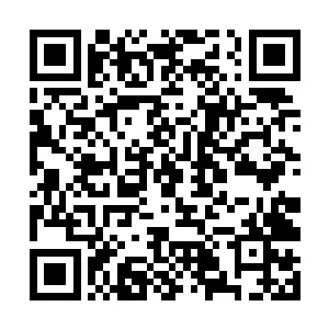 虽然他大概解释了他们为什么能守护最终试炼到现在二维码生成