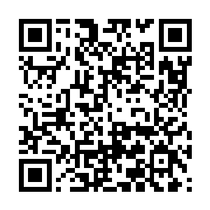 虽然他已经是发现了几个蕴含仙力波动的血月倒影二维码生成