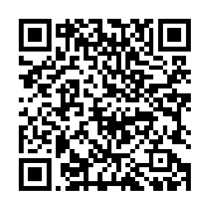 虽然他已经百分之百已经确定赵福宝说的就是自己徒弟二维码生成