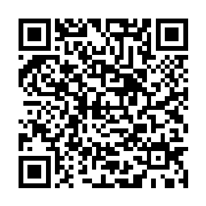 虽然他平时好像没心没肺的和苏小爱两个斗嘴吵架二维码生成