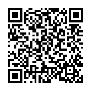 虽然他想不出这小子为何不祭出结丹期的傀儡来斗他二维码生成