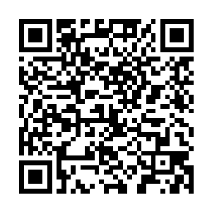 虽然他早就知道陆为民上位政法委书记绝对不是善茬儿二维码生成