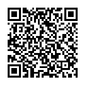 虽然他没忘记刚才是爹地不让他最爱的妈咪抱抱他的二维码生成