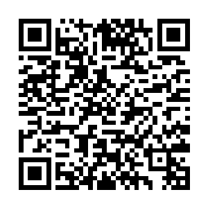 虽然他没有发现存在危险……但前面一定有什么东西二维码生成