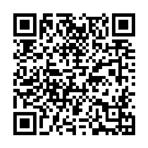 虽然他没有按照pdd所言拿高爆发或带控的中单英雄二维码生成