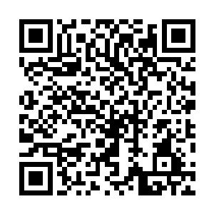 虽然他的手掌距离阮灵的脸颊仅仅只剩下最后一寸的距离二维码生成