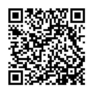 虽然他的确可以凭借强大的力量硬生生的打破五行循环二维码生成