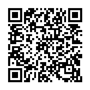 虽然他知道以龙傲天的实力他是很难帮得上忙的二维码生成