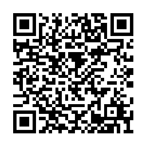虽然他知道十大守护家族在满大陆寻找天翼神虎二维码生成
