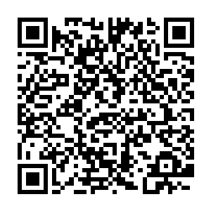 虽然他知道生存在五行山脉中的九阶玄黄兽还有很多自己沒有遇到二维码生成