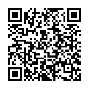 虽然他知道能够跟在龙傲天身边的绝对不会是普通人二维码生成