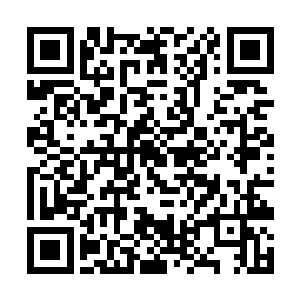 虽然他认定了李文绝能有今天全都是因为李凡的功劳二维码生成