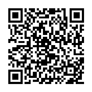 虽然他赵虎暂时无法对付虫洞另一端的六阶星兽二维码生成