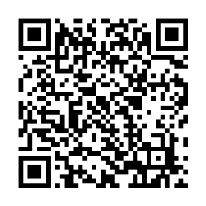 虽然以她圣级二层的修为依旧不能够在这里撕裂空间穿梭二维码生成