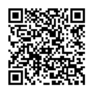 虽然以杨开现在的实力御驶这样的帝宝还稍显吃力二维码生成