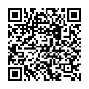 虽然伊莎贝拉的举动在很多人看来算是昏庸的表现二维码生成