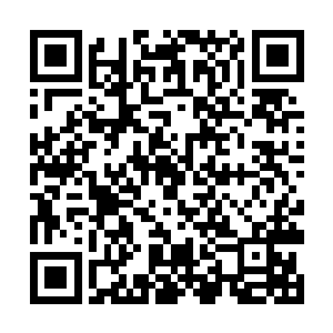 虽然传递过来的新信息不会是每一个都能转化为战果二维码生成