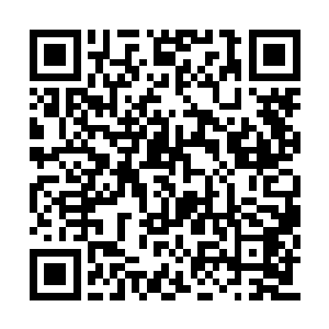 虽然伤势最严重的天陨等人一时半会还无法痊愈二维码生成