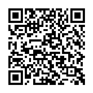 虽然作为一个小市民的苏瑷同志觉得这样的事儿二维码生成