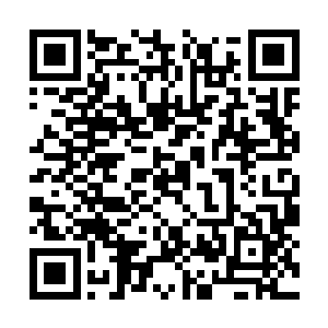 虽然你们斩杀了大地族族长和二十六个圣级大修士二维码生成