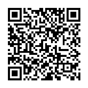 虽然你是个骗子……不过毕竟在西康陪过我大半年……二维码生成