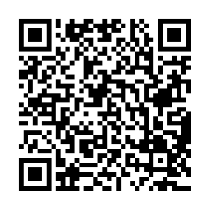 虽然修罗星的灵智已经撤回了作用在他们身上的镇压力量二维码生成